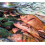 Seafood
