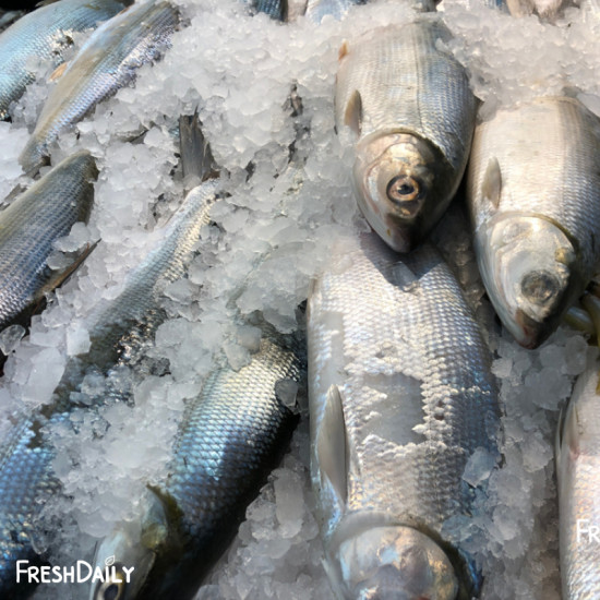 Bangus XL 1pc