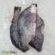Tilapia